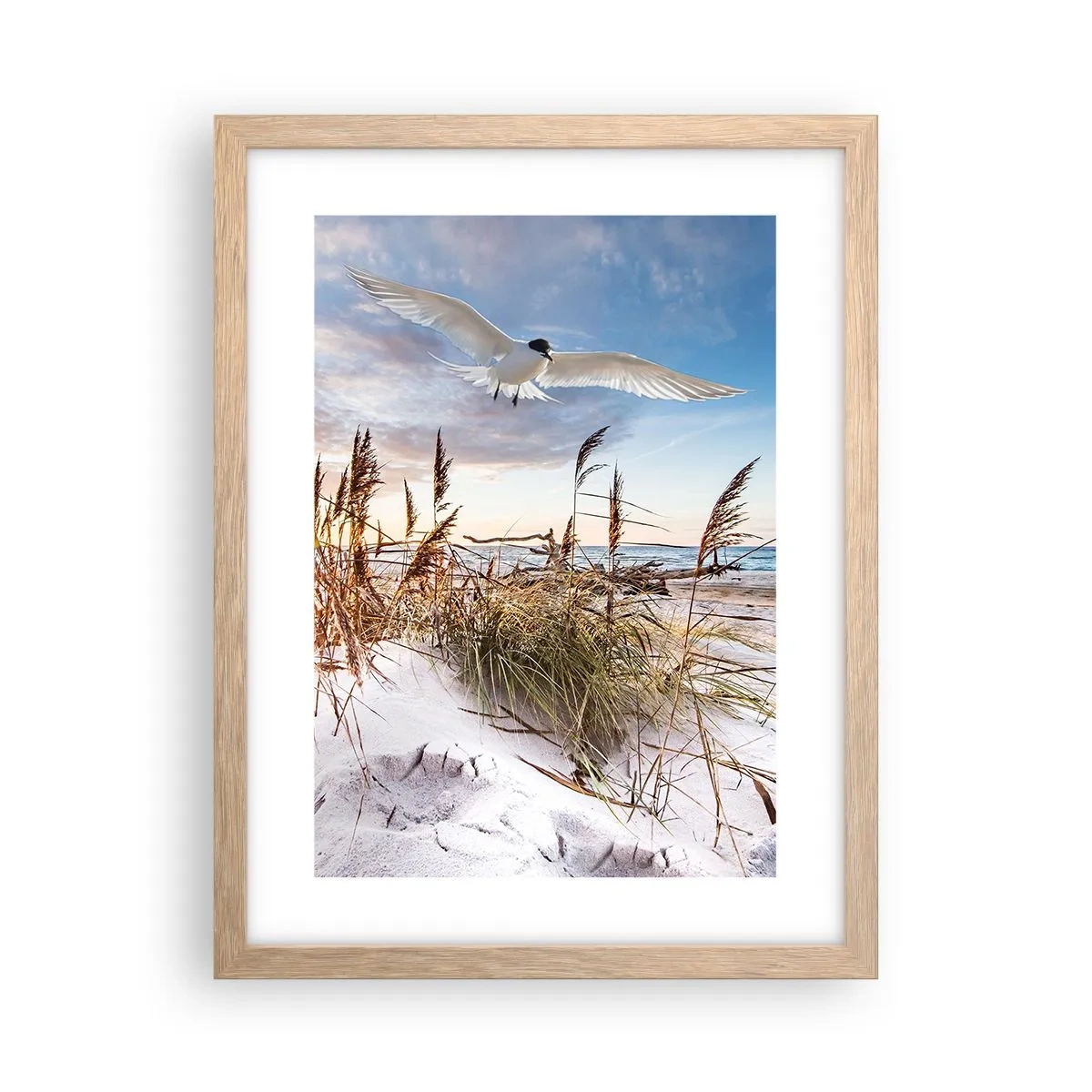 Plakat i ramme af lyst egetræ - Vind fra havet - 30x40 cm