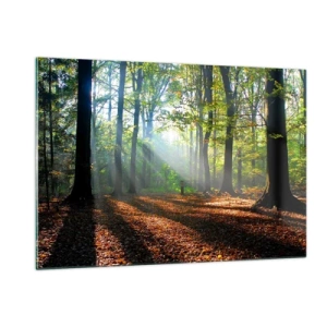 Billede på glas - Lys og skygger - 120x80 cm