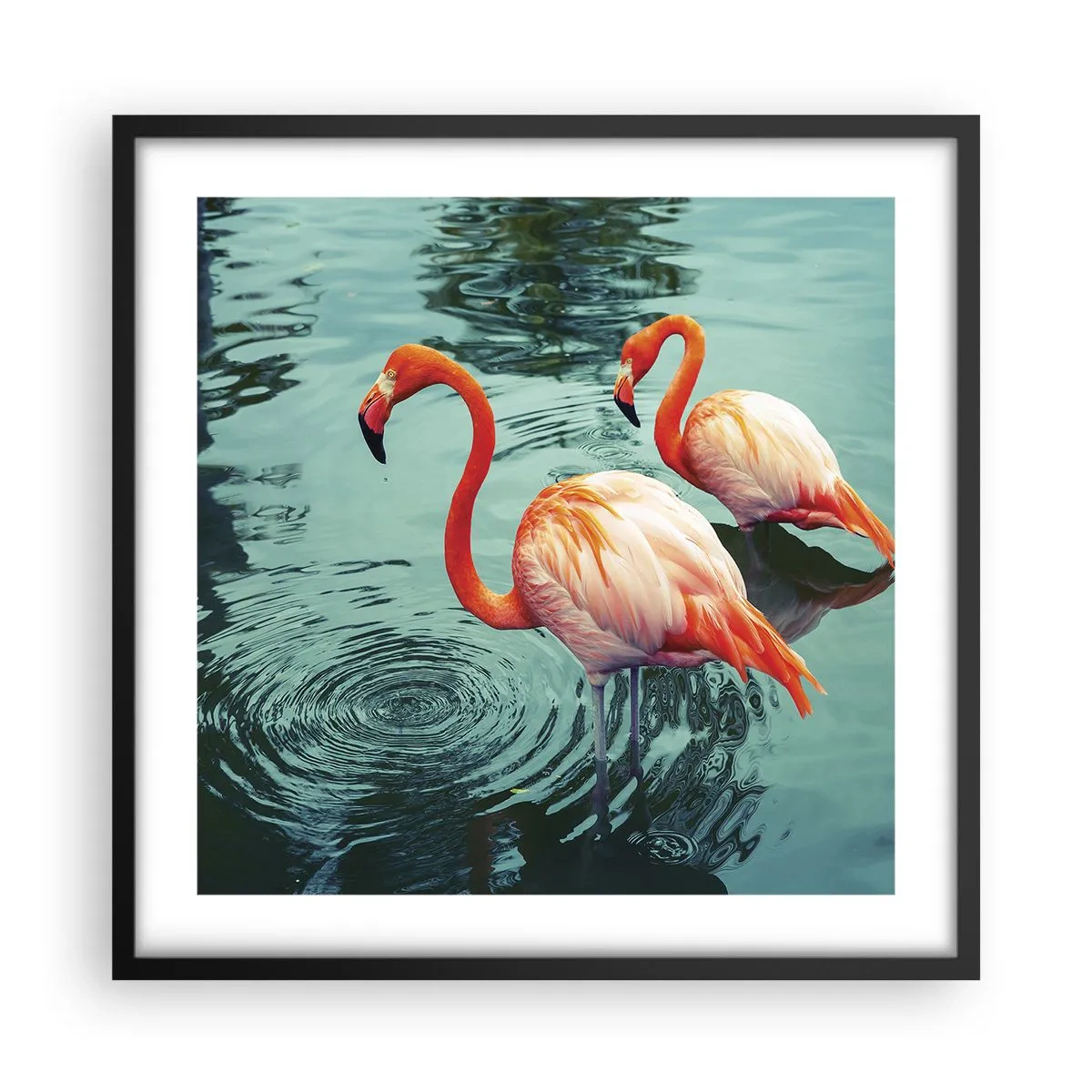 Plakat i sort ramme - Vi er nu på mode - 50x50 cm