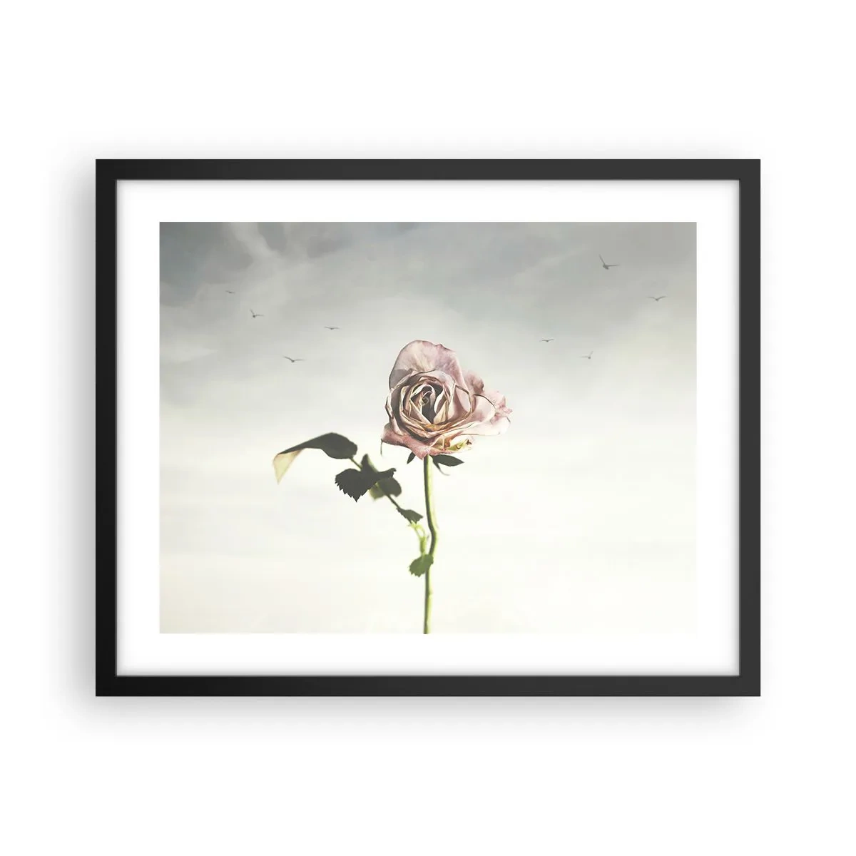 Plakat i sort ramme - Velkomst til foråret - 50x40 cm