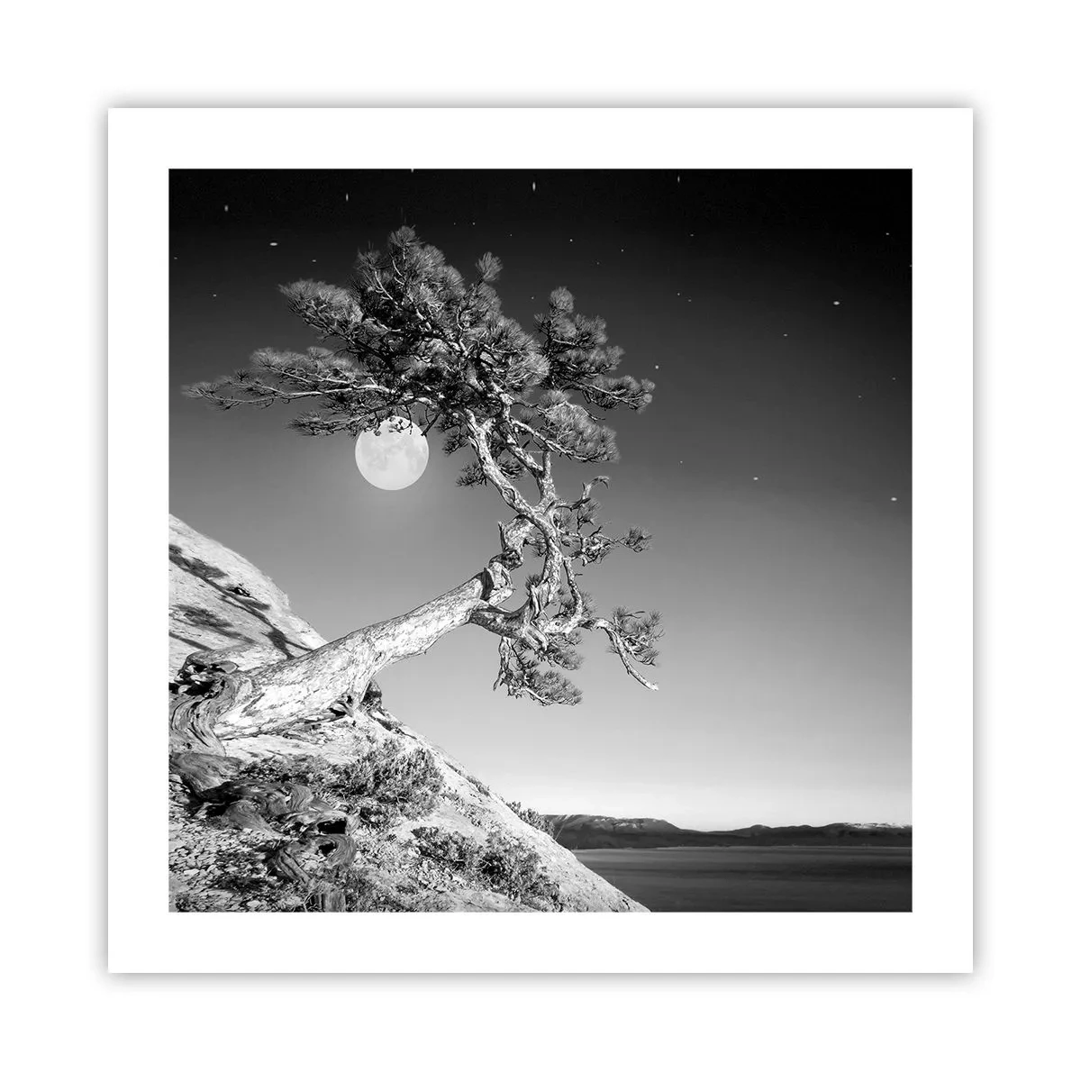 Plakat - Den sejrrige kriger - 50x50 cm