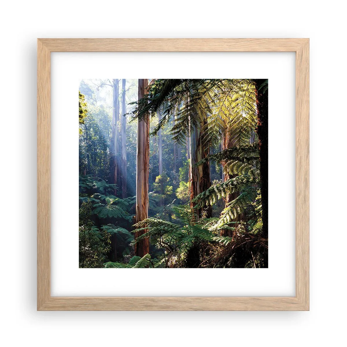 Plakat i ramme af lyst egetræ - En fortælling om skoven - 30x30 cm
