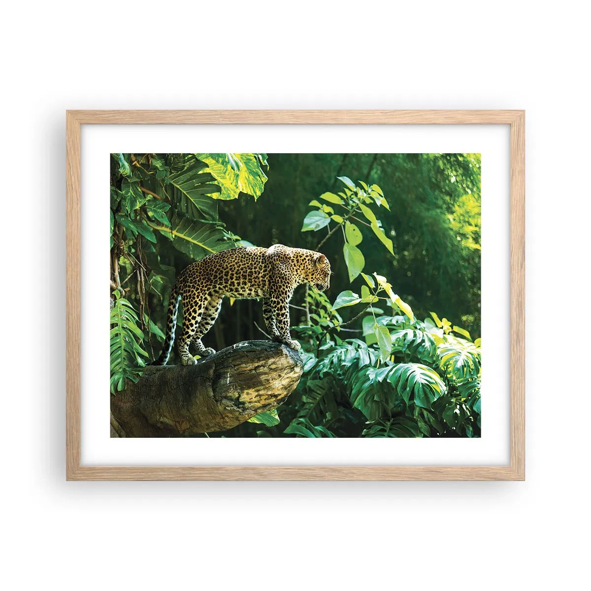Plakat i ramme af lyst egetræ - Til jagt? - 50x40 cm