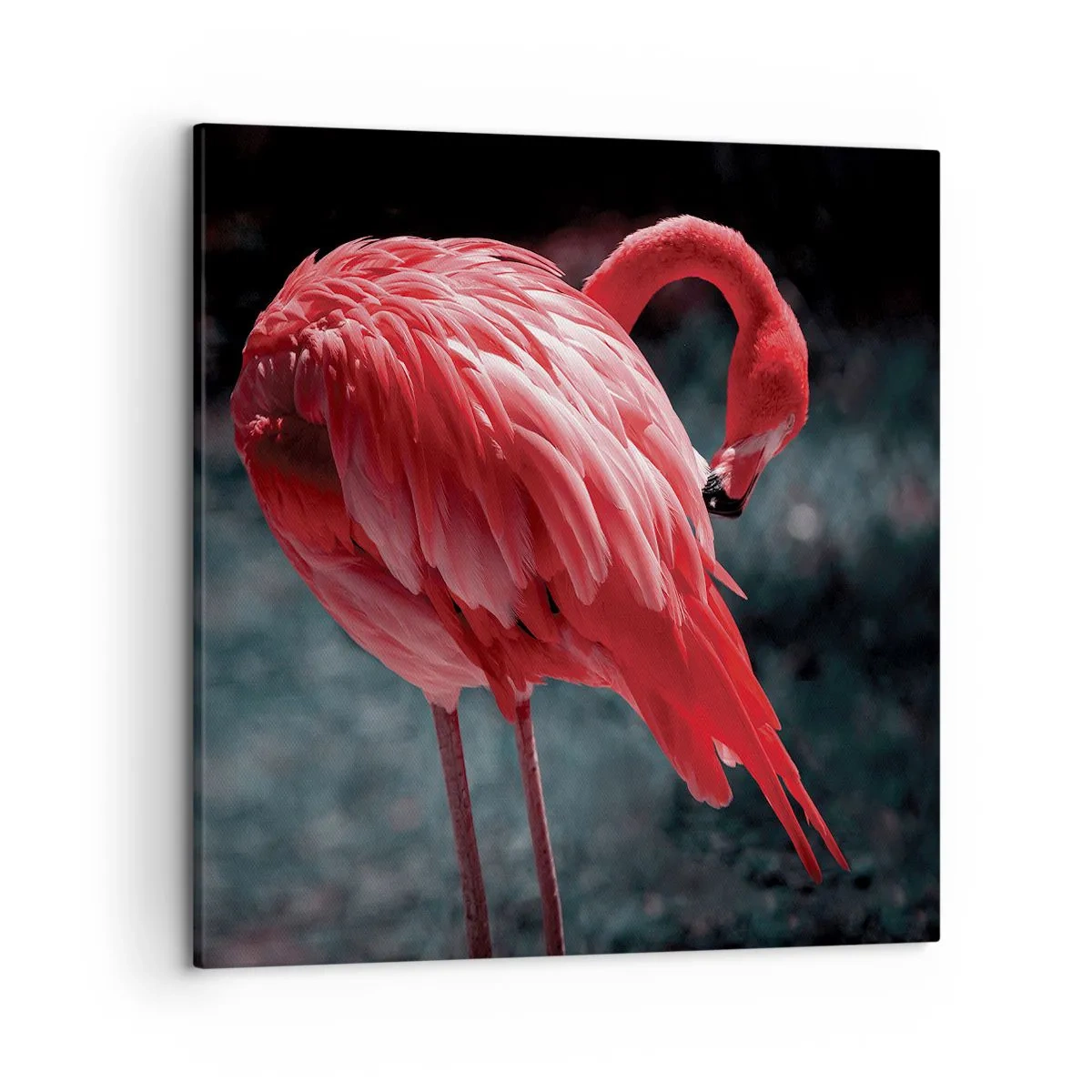 Lærredstryk - Billede på lærred - Et karmosinrødt naturdigt - 50x50 cm