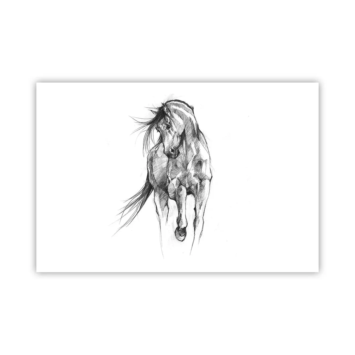 Plakat - I en yndefuld trav - 91x61 cm