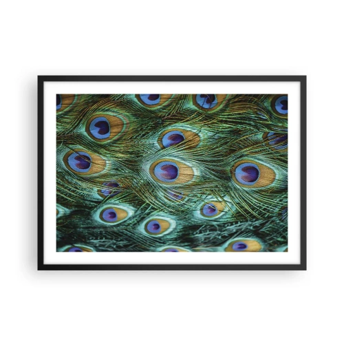 Plakat i sort ramme - En påfugls blik - 70x50 cm