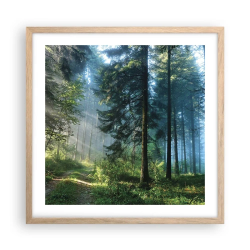 Plakat i ramme af lyst egetræ - Strålende om morgenen - 50x50 cm