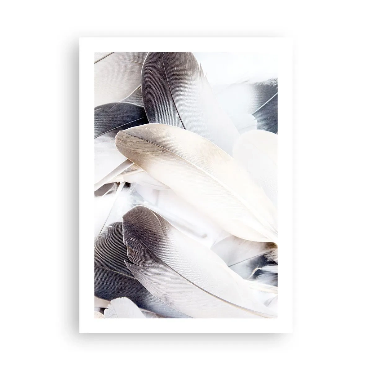 Plakat - Næsten engleagtig - 50x70 cm