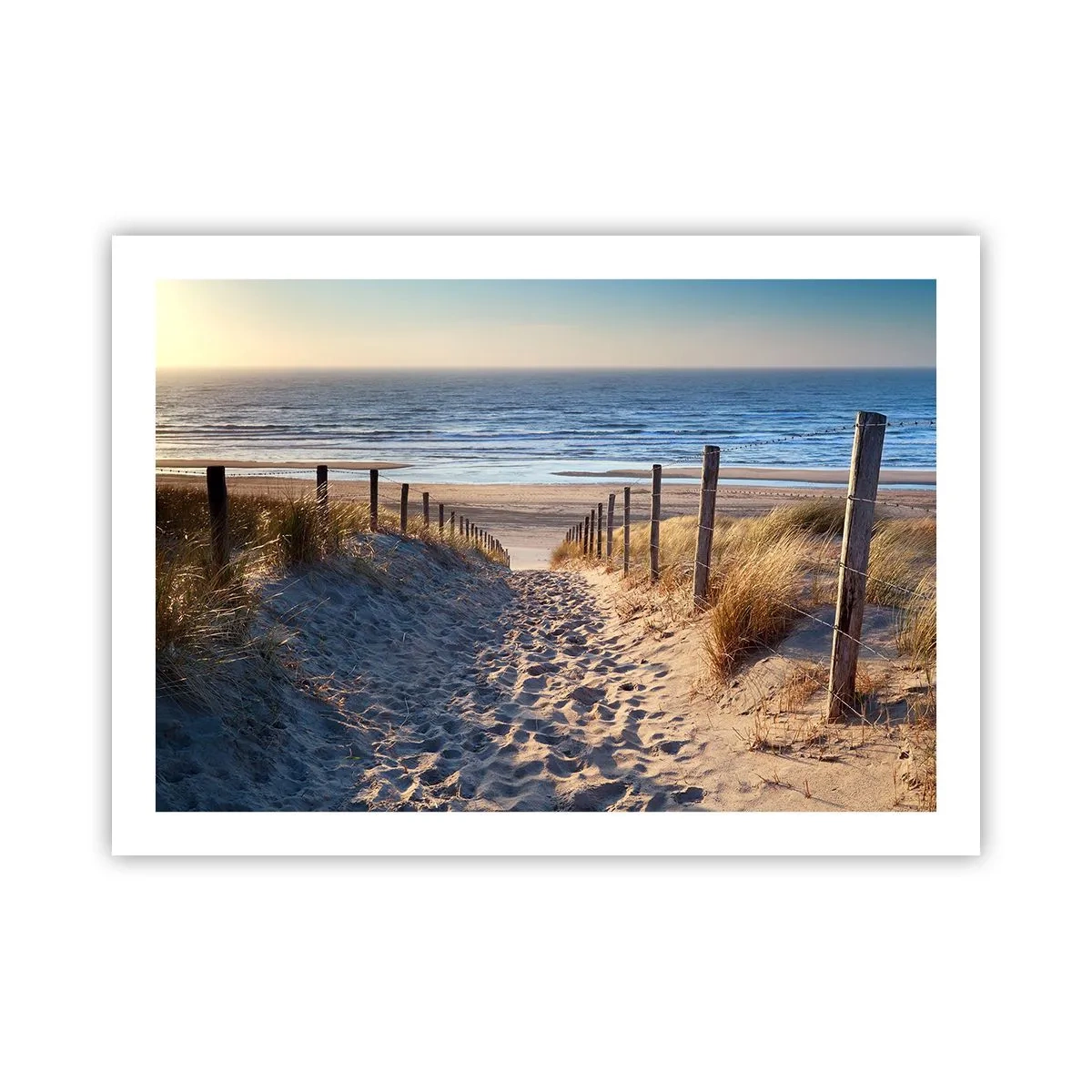 Plakat - Havet brummer, fuglene synger, en vild strand midt i græsset.... - 70x50 cm