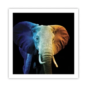 Plakat - Excentrisk, ikke underlig - 60x60 cm