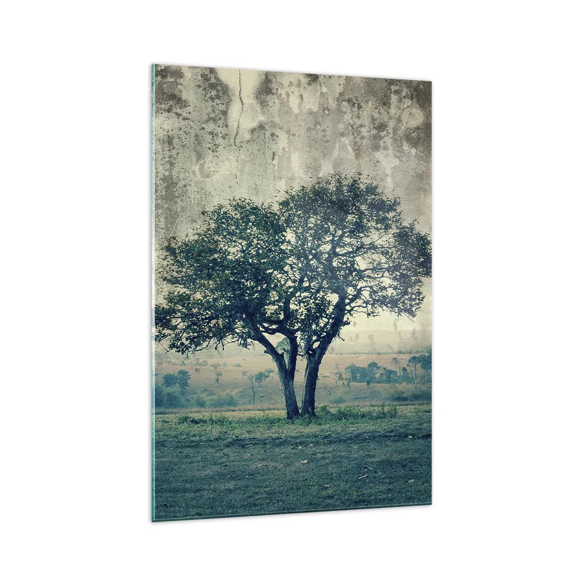 Billede på glas - Et æbletræ på en blå membran? - 70x100 cm
