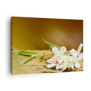 Lærredstryk - Billede på lærred - Hvide blomster på en træbaggrund i naturligt lys - 70x50cm - Et uskyldigt løfte - Moderne vægdekoration til stue og soveværelse ARTTOR