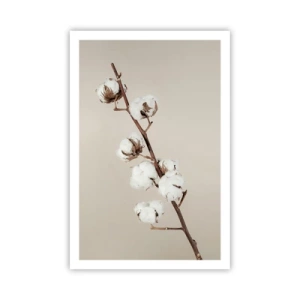 Plakat - Ved kilden til blødhed - 61x91 cm