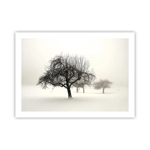 Plakat - Vintersøvn - 70x50 cm