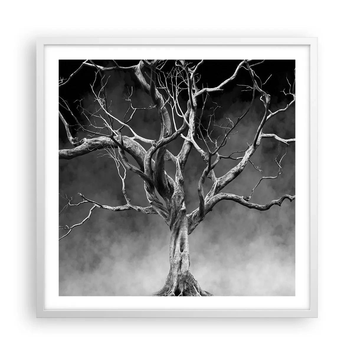 Plakat i hvid ramme - Primær og hellig - 60x60 cm