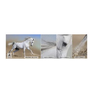 Prøve Fototapet Premium Canvas - Den smukkeste arabiske fortælling - Hest, Dyr, Galop - 100x30 cm