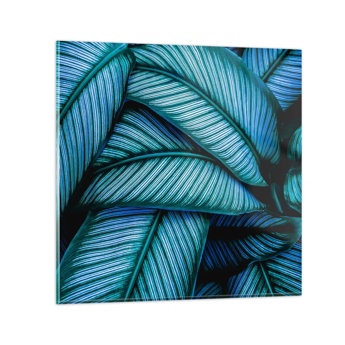 Billede på glas - Livslinjer - 60x60 cm