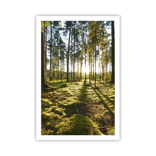 Plakat - ...Bag de syv skove - 61x91 cm