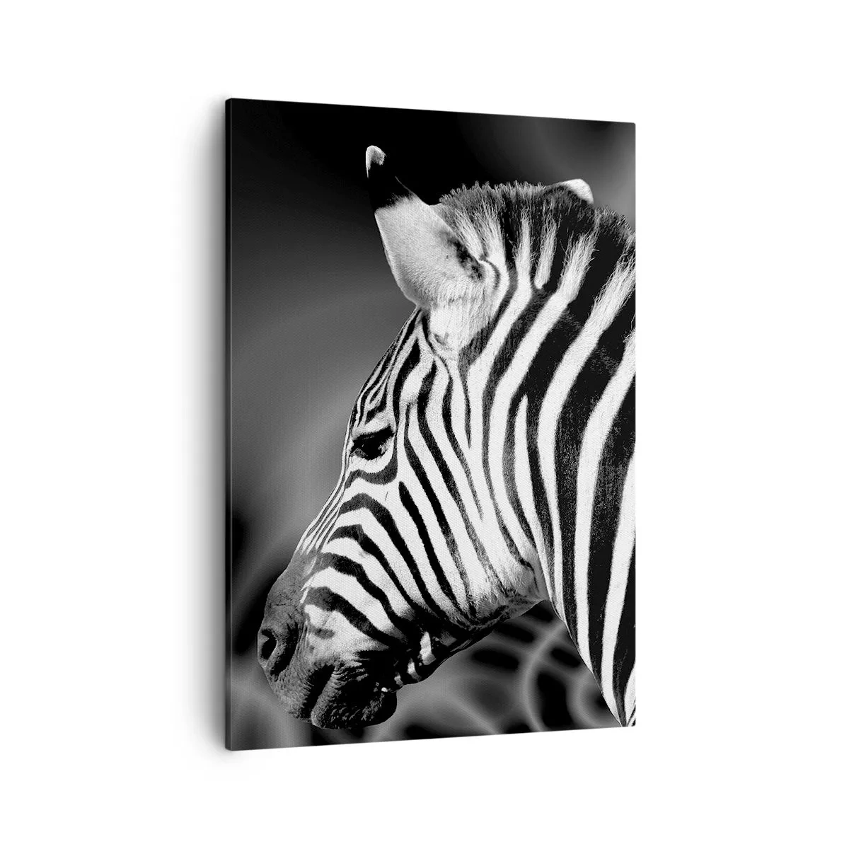 Lærredstryk - Billede på lærred - Hvid er hvid og sort er sort - 50x70 cm