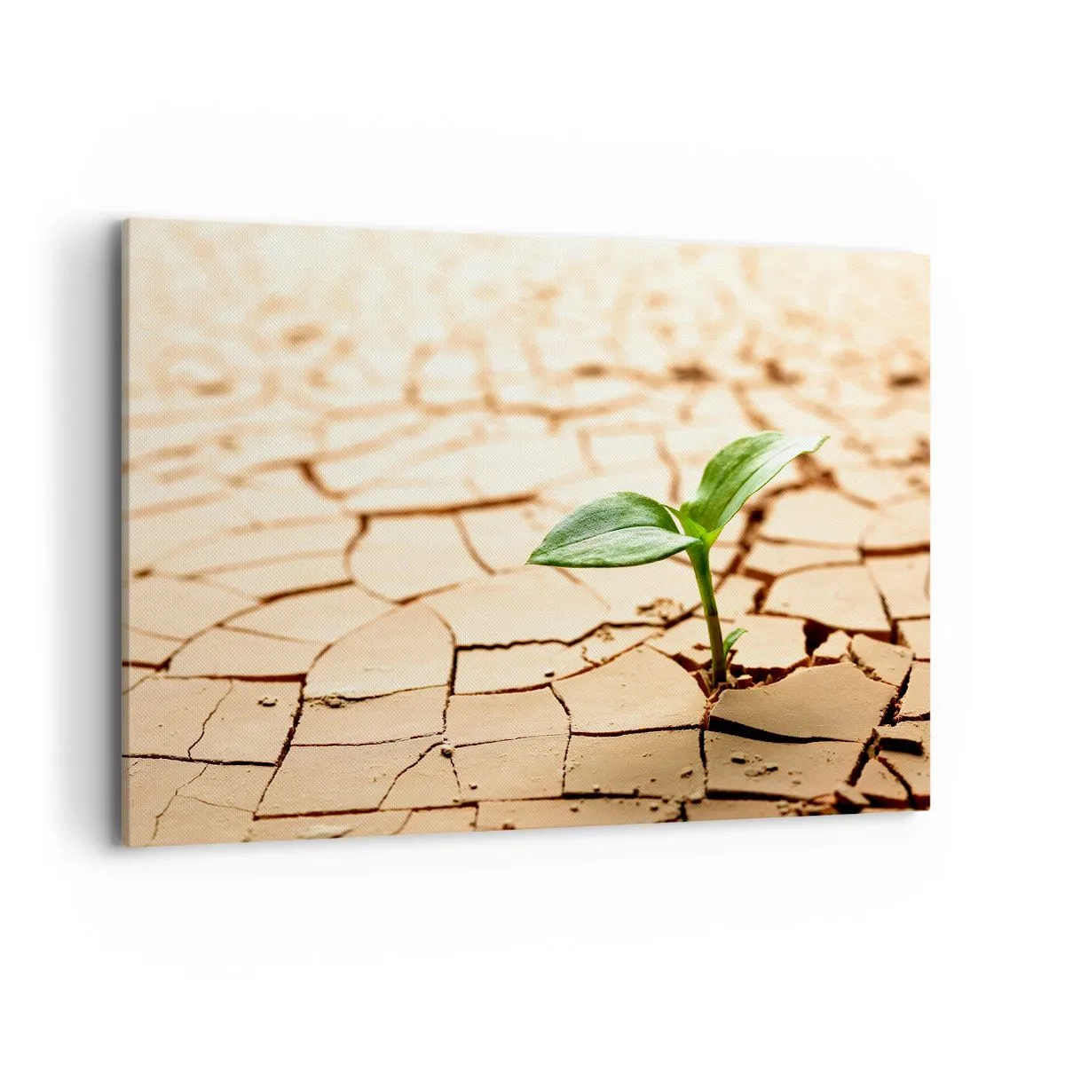 Lærredstryk - Billede på lærred - Den ukuelige livskraft - 100x70 cm