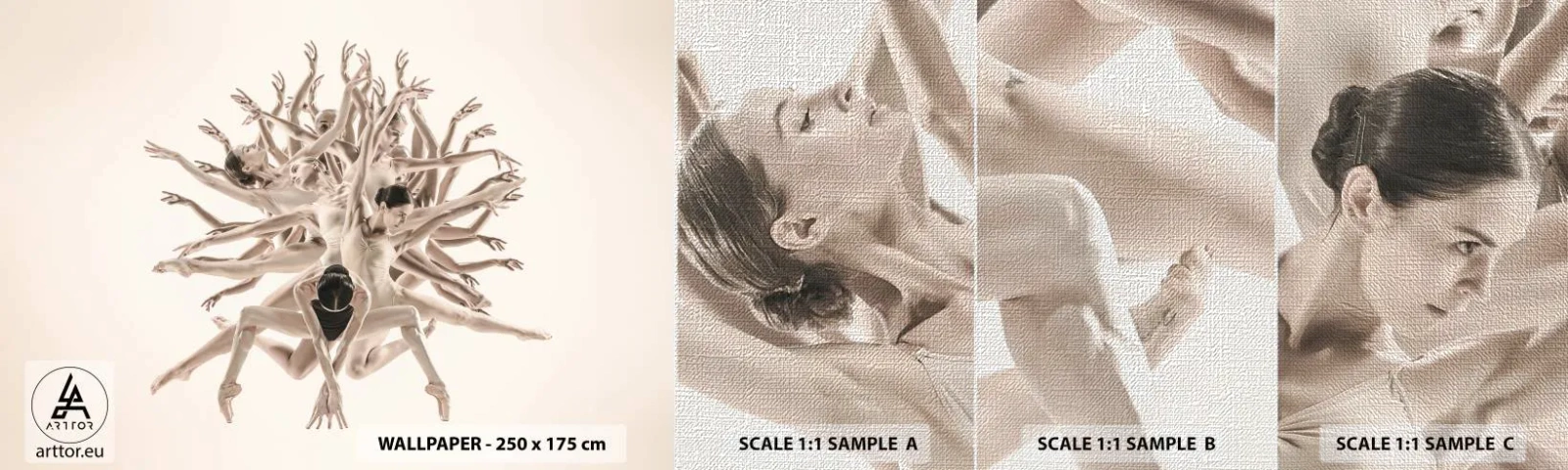 Prøve Fototapet Premium Canvas - Blomstrende i dans - Abstraktion, Stykke, Ballet - 100x30 cm