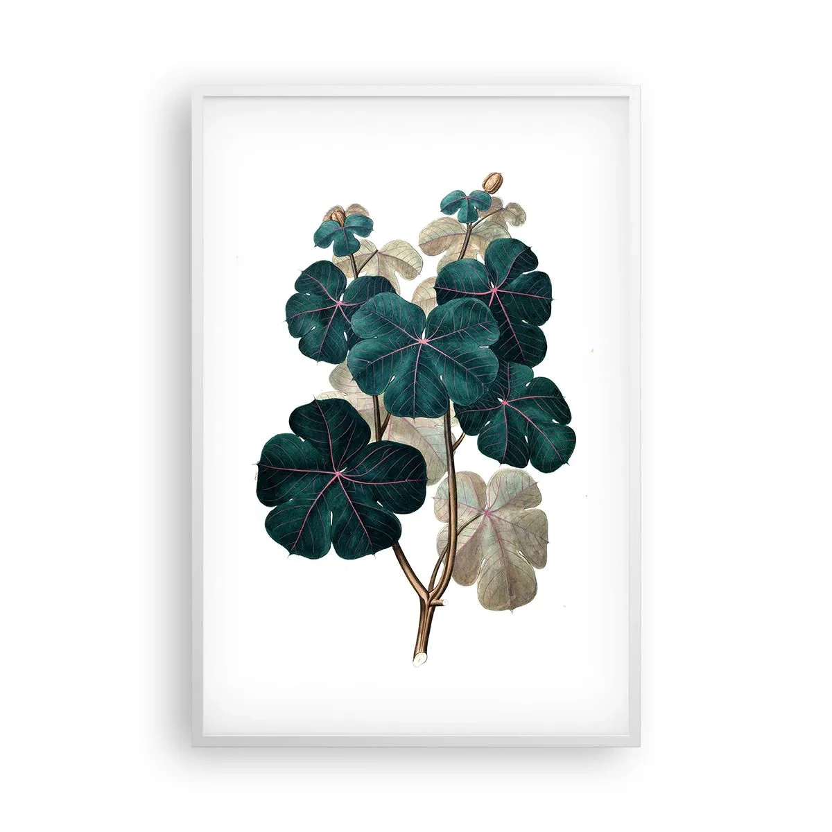 Plakat i hvid ramme - Fra et gammelt herbarium - 61x91 cm