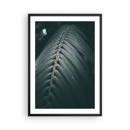 Plakat i sort ramme - Et palmeblad i en mørk tone med blød belysning - 50x70cm - Naturens præcision - Moderne vægdekoration til stue og soveværelse ARTTOR