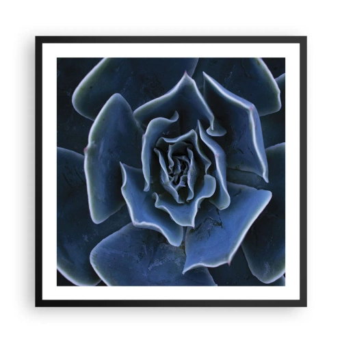 Plakat i sort ramme - Ørkenblomst - 60x60 cm