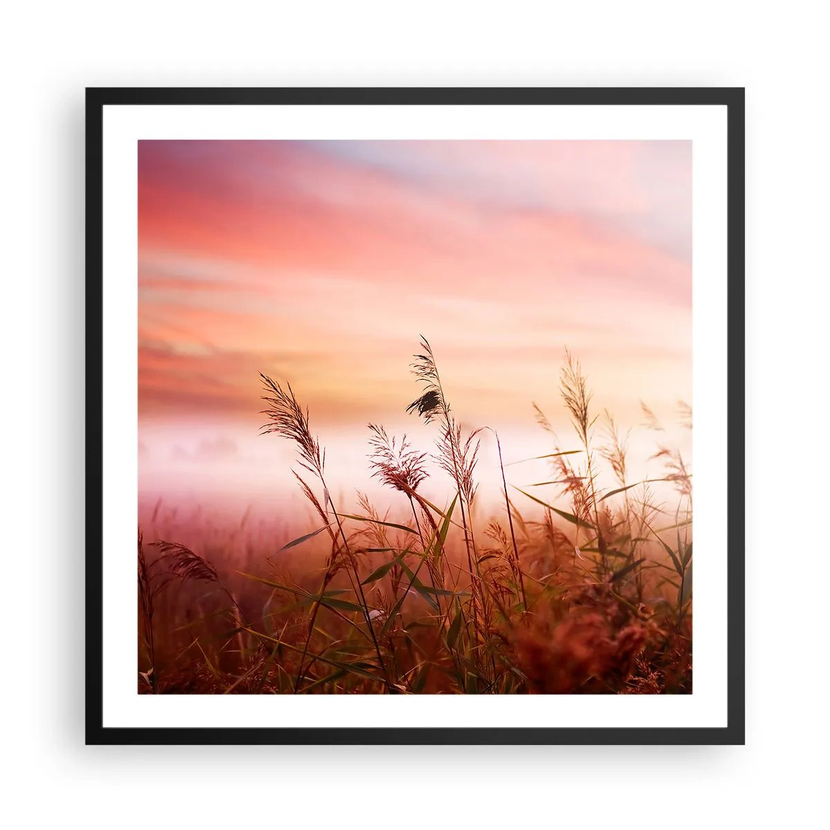 Plakat i sort ramme - Drager, blæsere, vind - 60x60 cm