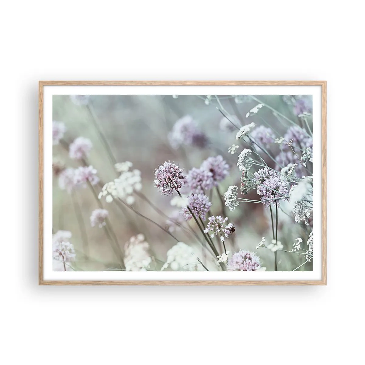 Plakat i ramme af lyst egetræ - Søde filigranurter - 100x70 cm