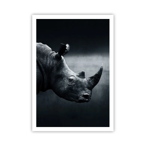 Plakat - Højre profil - 70x100 cm