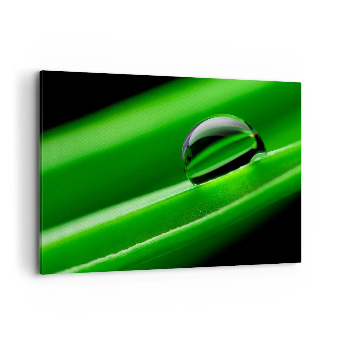 Lærredstryk - Billede på lærred - Livet på tæt hold - 120x80 cm