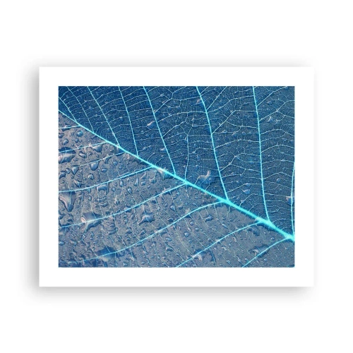 Plakat - Livet i det blå - 50x40 cm