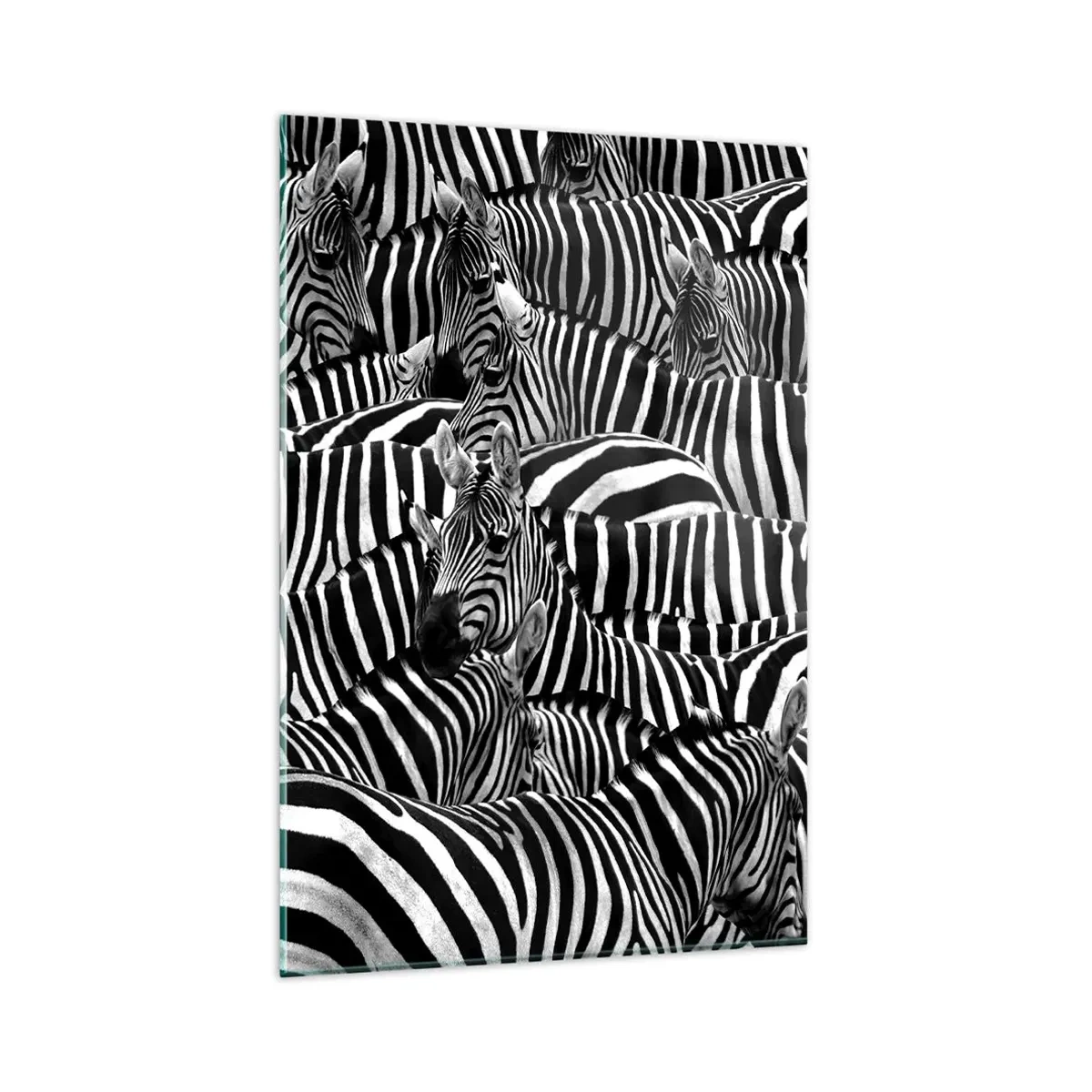 Billede på glas - Stribet gruppeportræt - 80x120 cm