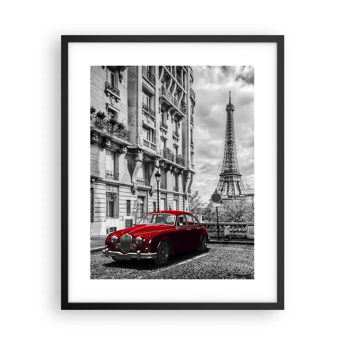 Plakat i sort ramme - Rovdyr i byen - 40x50 cm