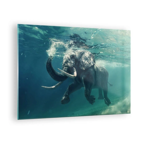 Billede på glas - En elefant, der svømmer under vandet i det blå hav - 70x50cm - Alle kan lide at svømme - Moderne vægdekoration til stue og soveværelse ARTTOR