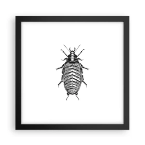 Plakat i sort ramme - Sikke et eksemplar! - 30x30 cm