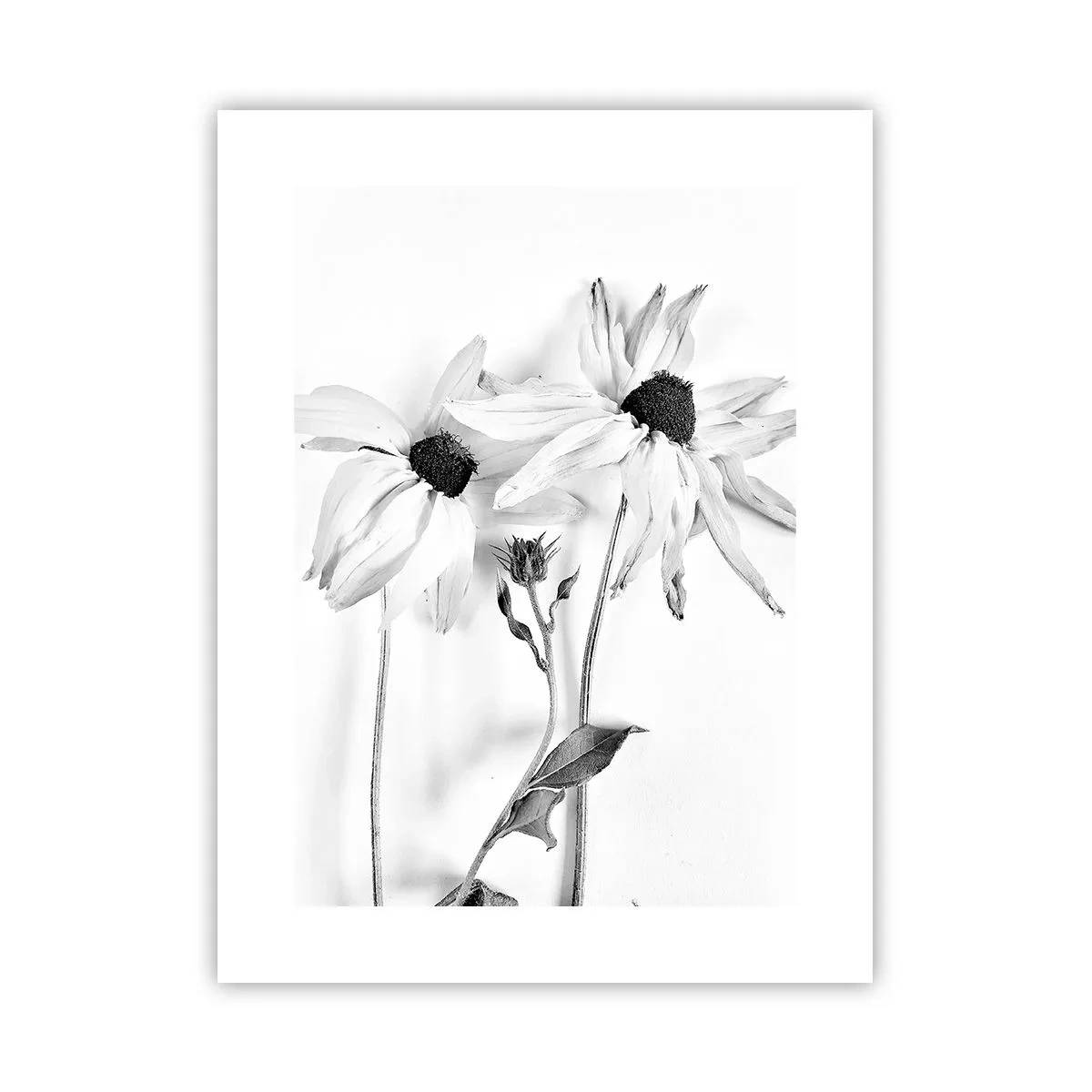 Plakat - Ingen ønsker at være alene - 30x40 cm