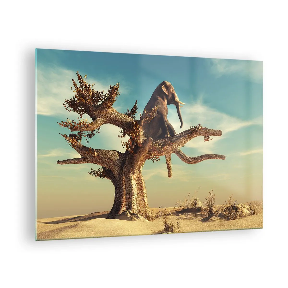 Billede på glas - En elefant sidder på et træ mod en ørkenbaggrund - 70x50cm - Et nyt synspunkt - Moderne vægdekoration til stue og soveværelse ARTTOR