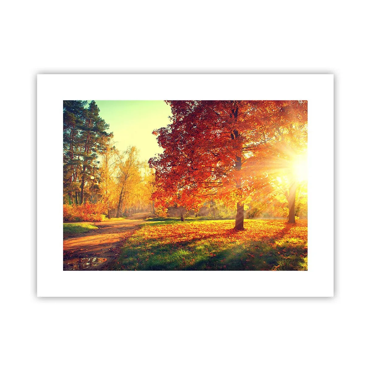 Plakat - Rød er smuk - 40x30 cm