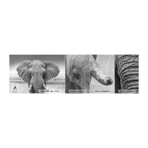 Prøve Fototapet Premium Sand - Velkommen til min verden - Elefant, Afrika, Dyr - 100x30 cm