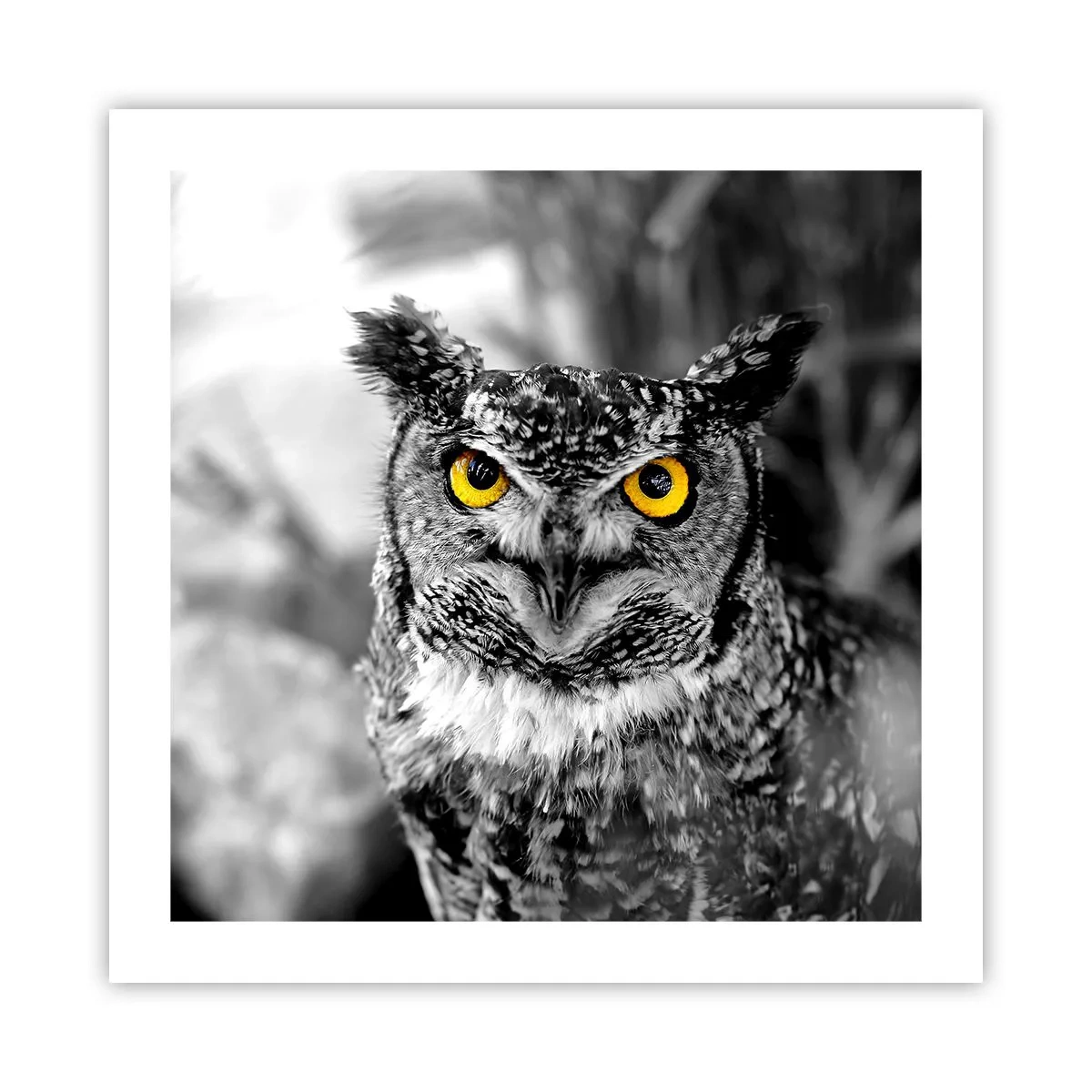 Plakat - Intet kan skjules - 50x50 cm