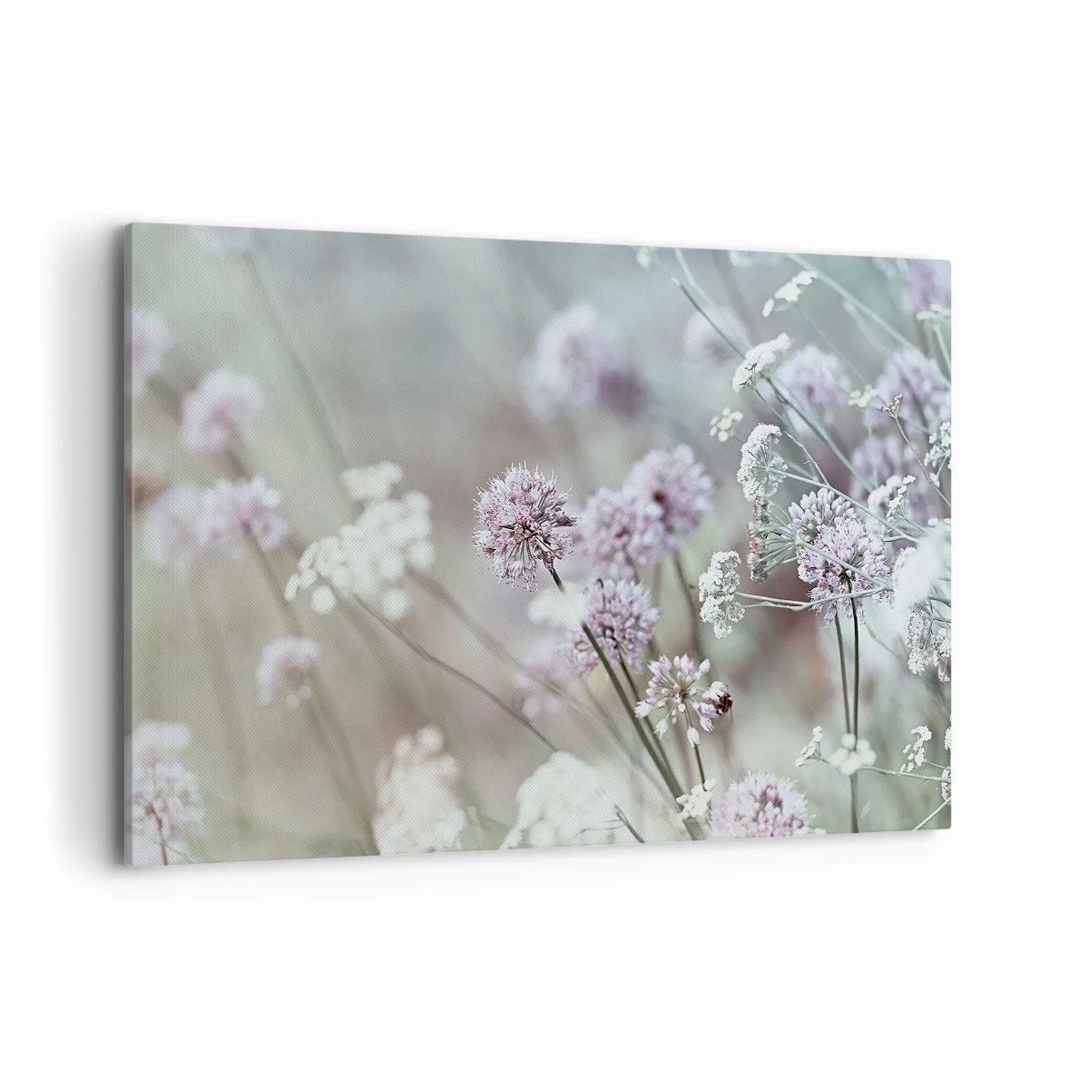 Lærredstryk - Billede på lærred - Søde filigranurter - 120x80 cm