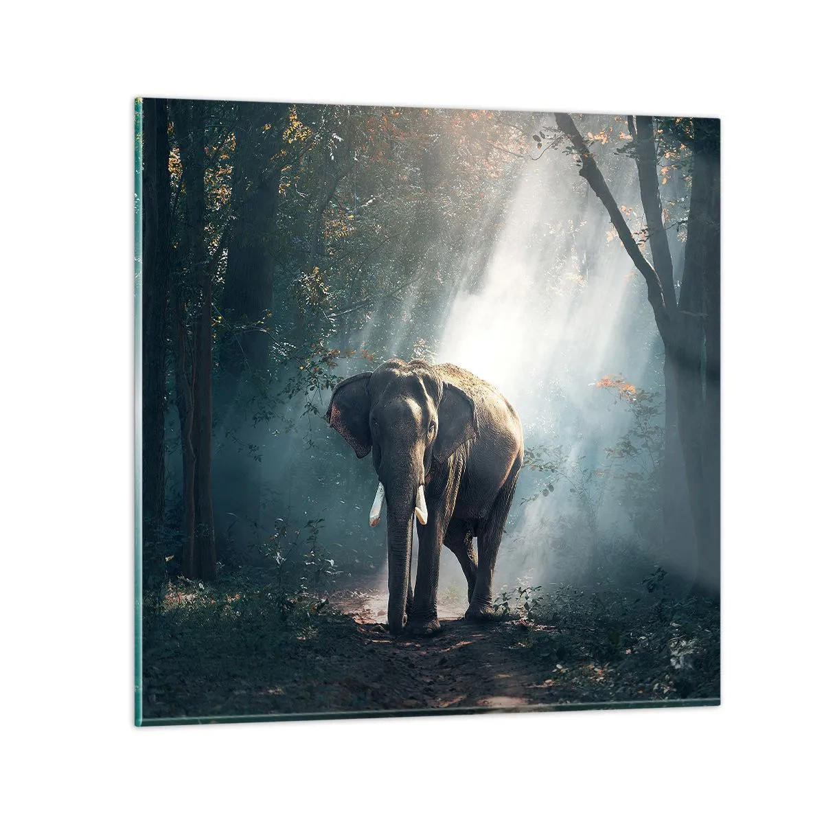 Billede på glas - En fredelig gåtur - 30x30 cm