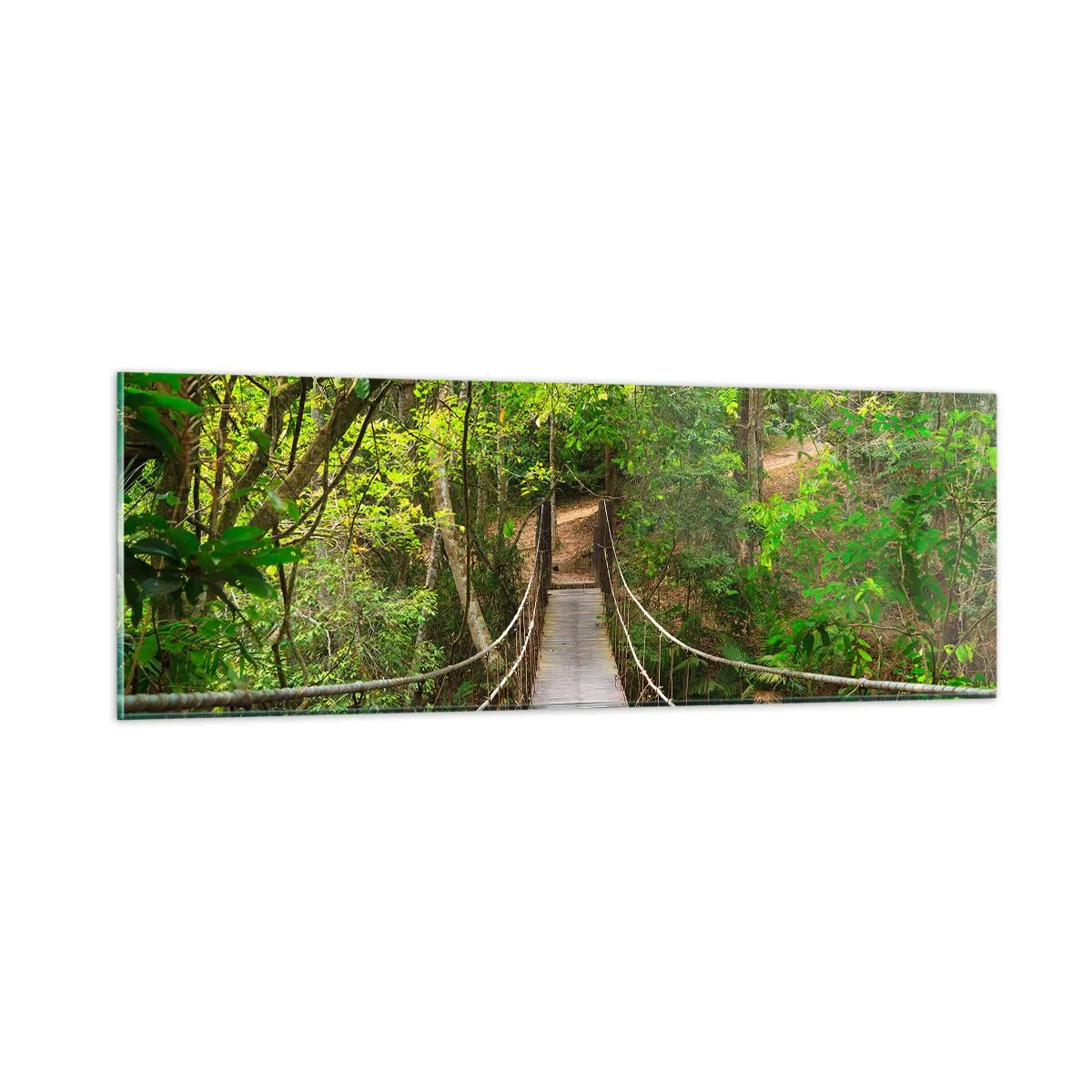 Billede på glas - Fordi der vokser en slyngplante i haven - 90x30 cm