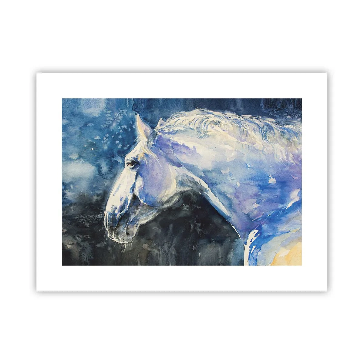 Plakat - Portræt i et blåt skær - 40x30 cm