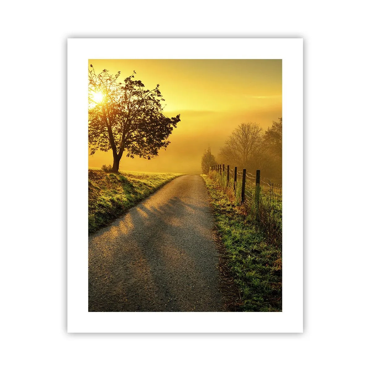 Plakat - Kære eftermiddag - 40x50 cm