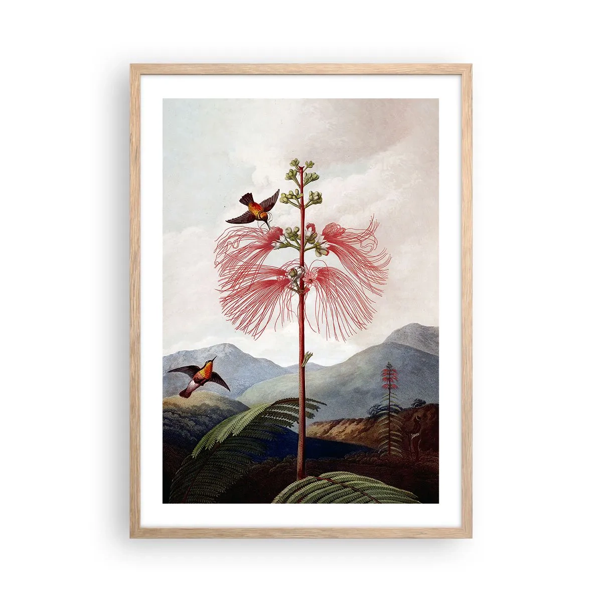 Plakat i ramme af lyst egetræ - I et tropisk paradis - 50x70 cm