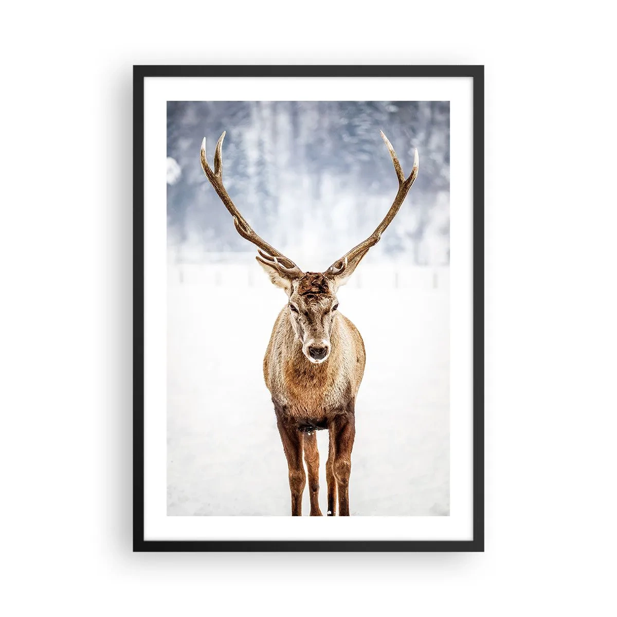 Plakat i sort ramme - En statelig hjort mod baggrunden af et vinterlandskab - 50x70cm - Lige ud af snedisen - Moderne vægdekoration til stue og soveværelse ARTTOR