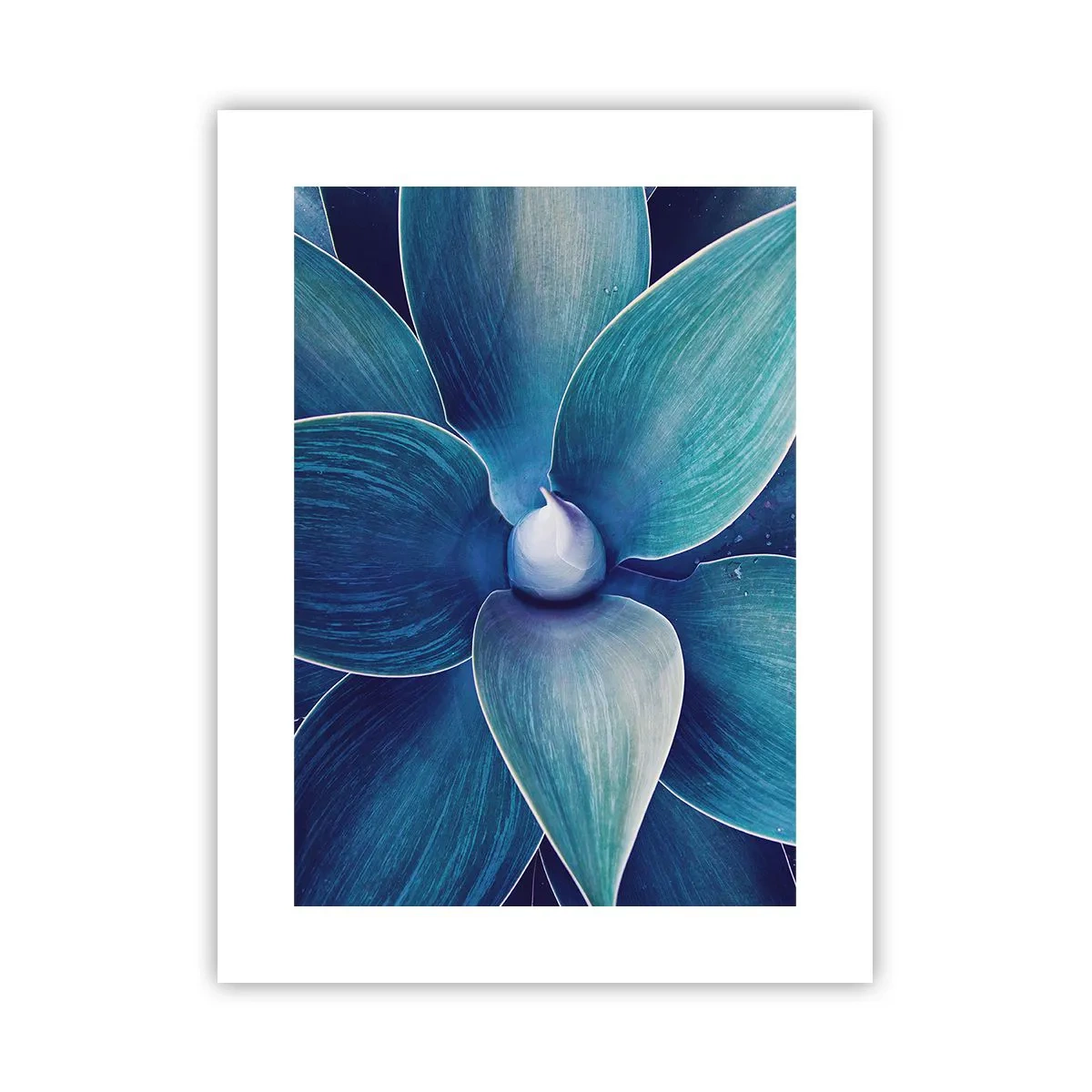 Plakat - Blå fra himlen - 30x40 cm